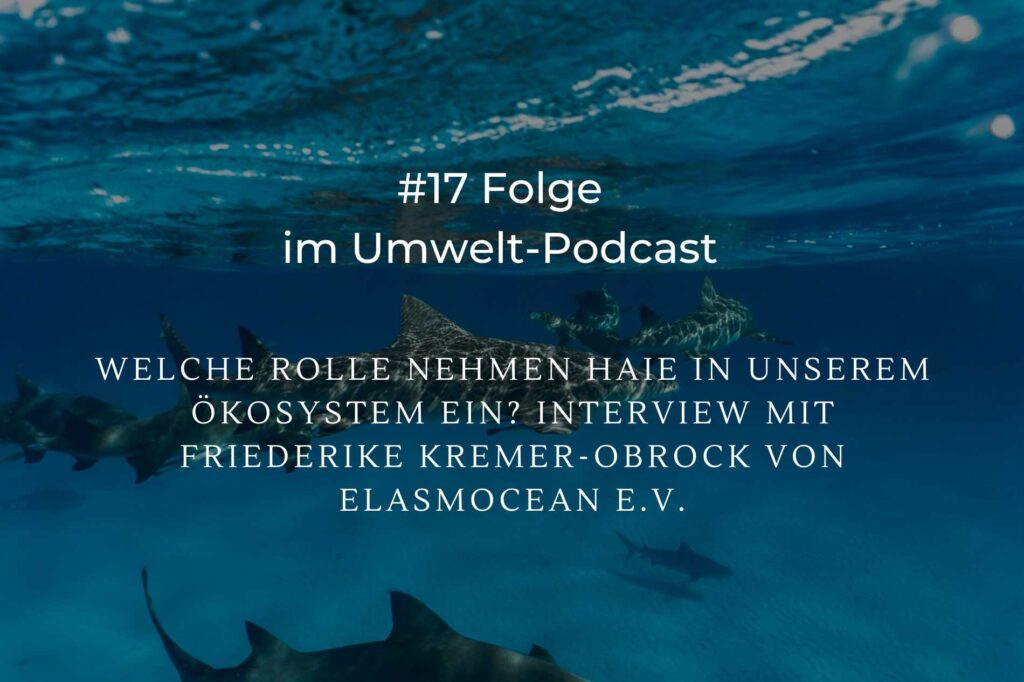 hai-ökosystem