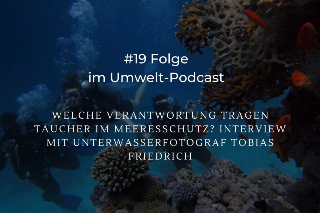Welche Verantwortung tragen Taucher im Meeresschutz