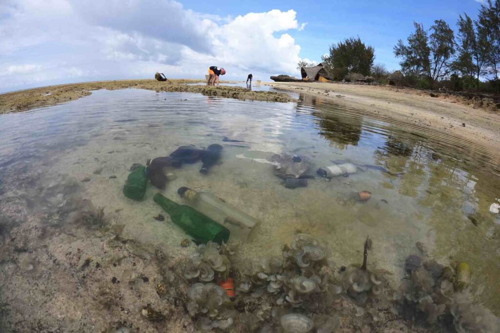 CleanUp Chumbe Island