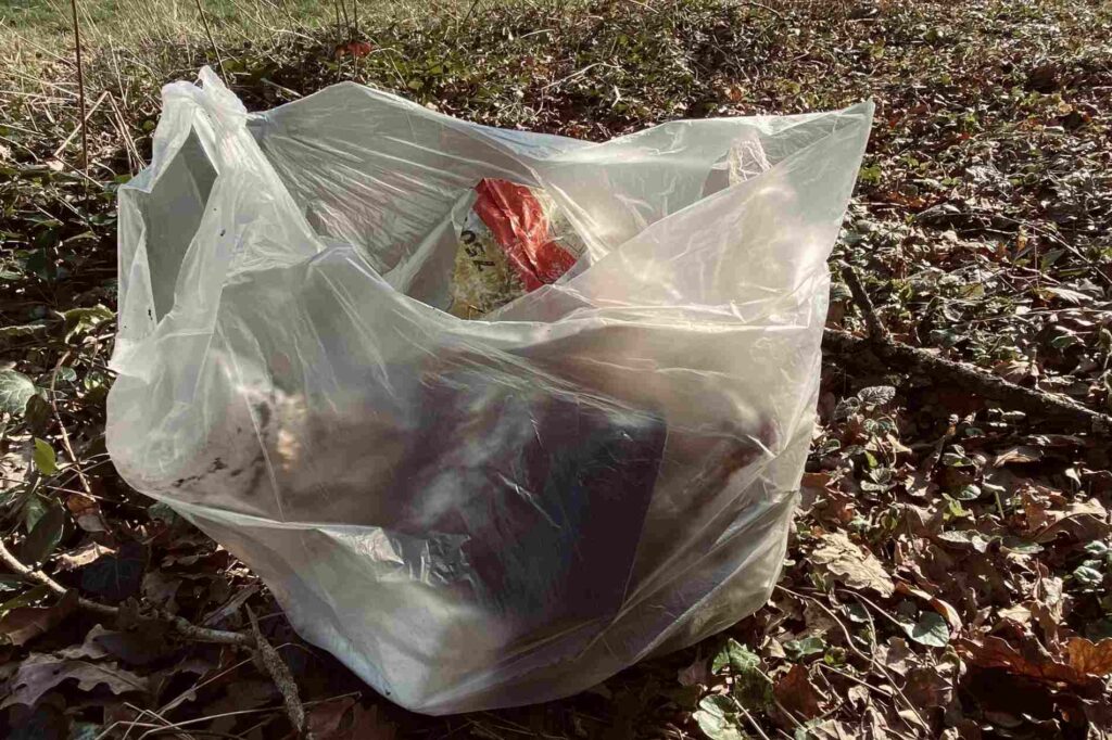 Plastikrebell cleanup Saison 2021