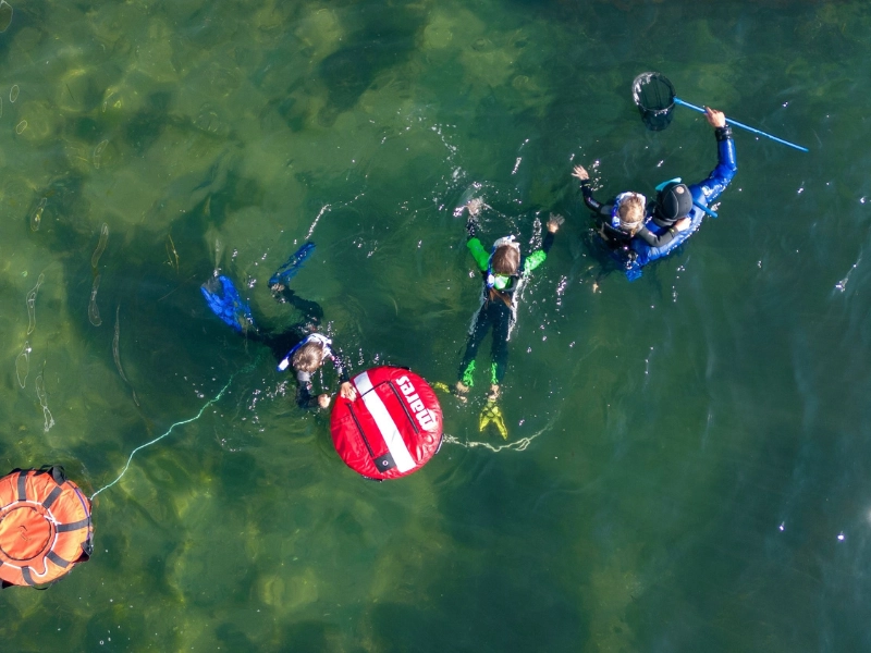 Luftaufnahme mehrerer schnorchelnder Personen in Neoprenanzügen mit einer Tauchboje im Wasser.