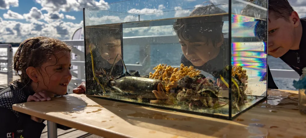 Kinder betrachten an einem Tisch im Freien ein Aquarium mit Meerestieren.